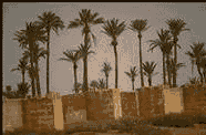 [ Walls of Marrakech ]