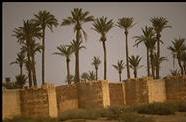 [ Walls of Marrakech ]